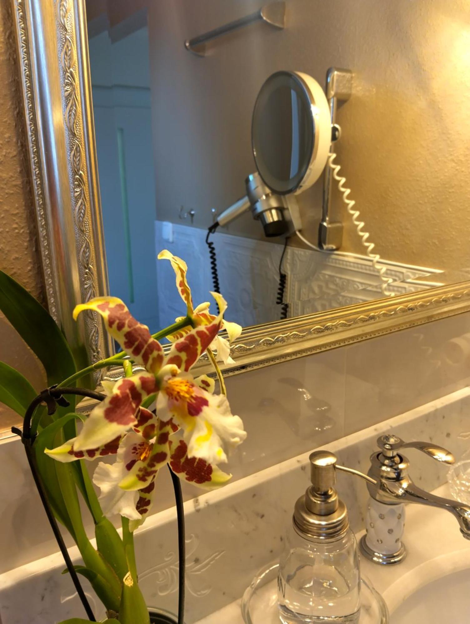 Haus "Guck - Ins - Tal" Apartment Sasbachwalden Ngoại thất bức ảnh